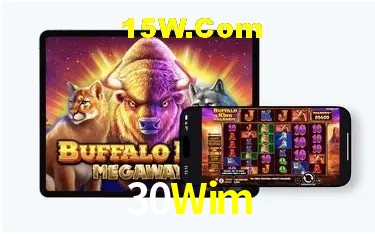 Player Reviews 30Wim